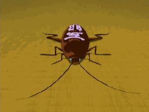 蟑螂有n种死法,但这次要来点狠的