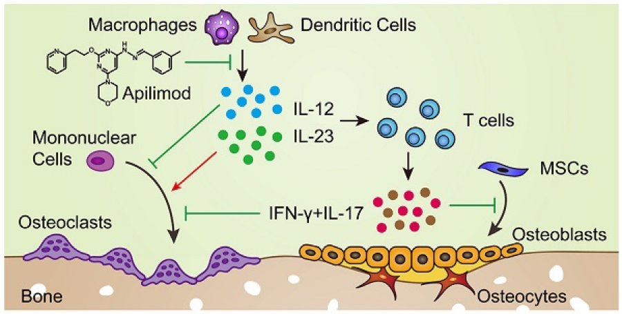 科研绘图:炎症中心作用的白细胞介素2__财经头条