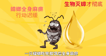 蟑螂有n种死法,但这次要来点狠的