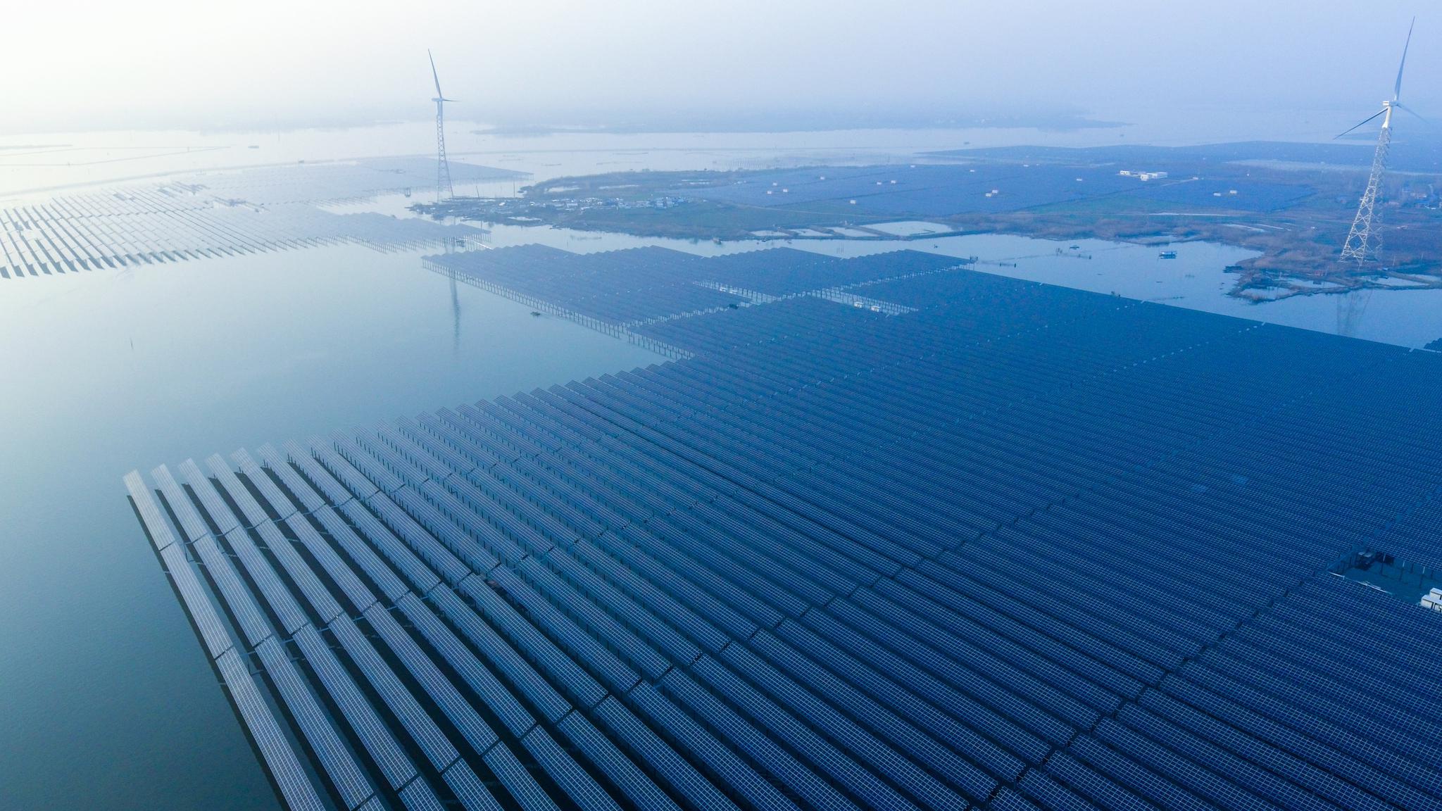 通威股份的2020:维持饲料产业领先地位,做光伏新能源排头兵