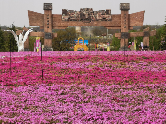 疫尽"甘"来,让我们一起相约义渠百花园!