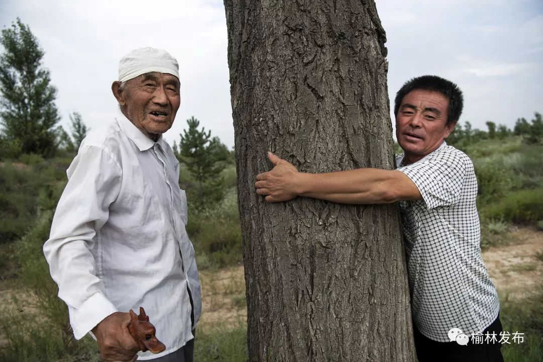陕西榆林市靖边县东坑镇毛团村年逾九旬的郭成旺（左）的孙儿郭建军抱着老人1984年栽下的一棵树，当年的树苗现已长成参天大树