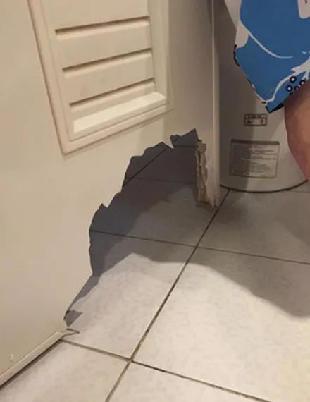 一千块新门刚装两天,就被狗子拆成了碎片,网友:有混到二哈吗?