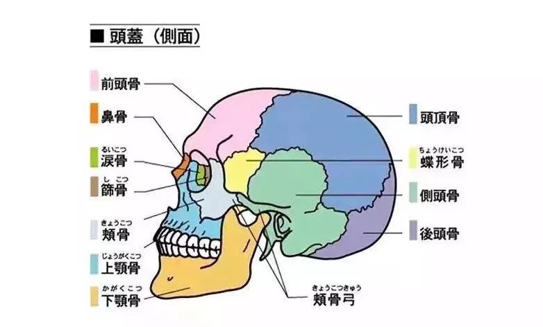 每天5分钟,脸变小了,皱纹不见了,皮肤美得像变了个人!