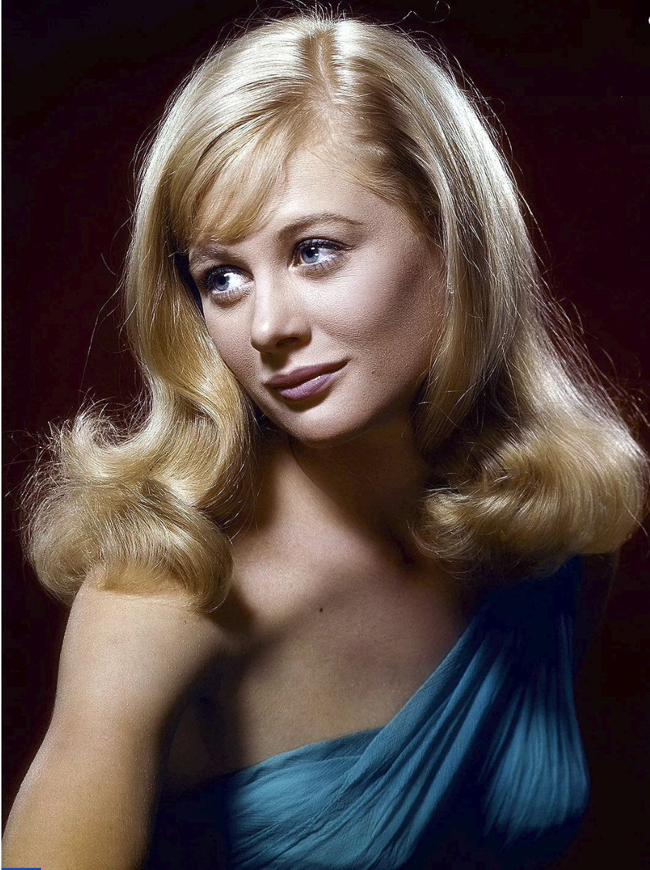 《绝望主妇》演员雪莉·奈特去世,曾两度提名奥斯卡