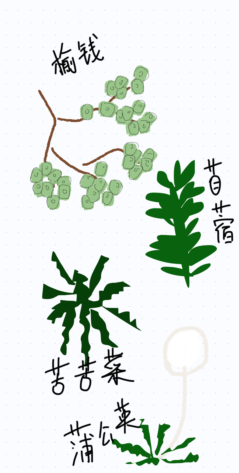 在银川没有一株野菜能活过春天