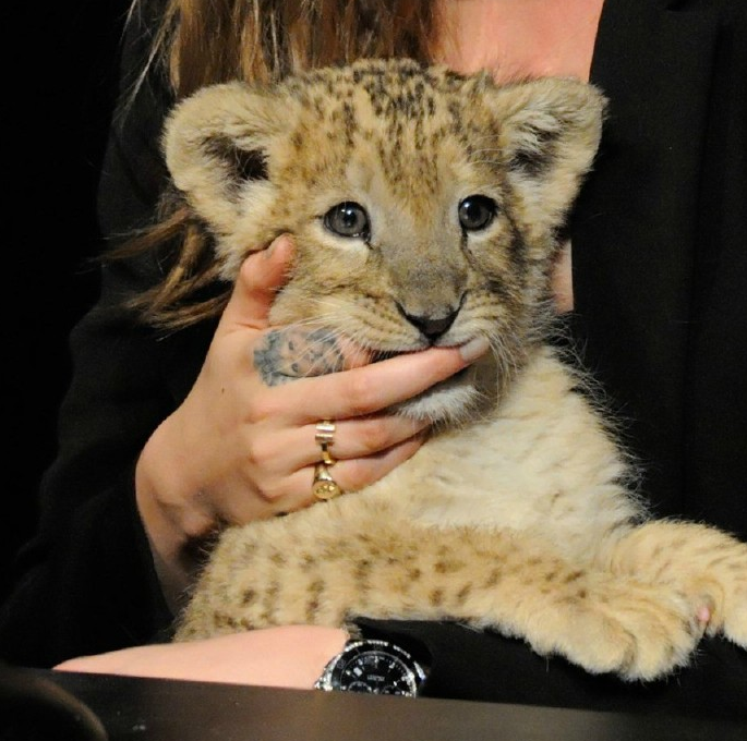 多吸睛啊!看智珉身上的各种纹身?也都挺清新啊.