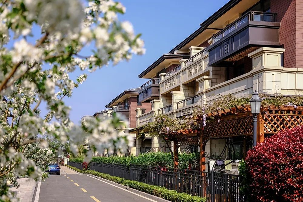 小桥流水绿植繁复在日照这样的房子谁不爱