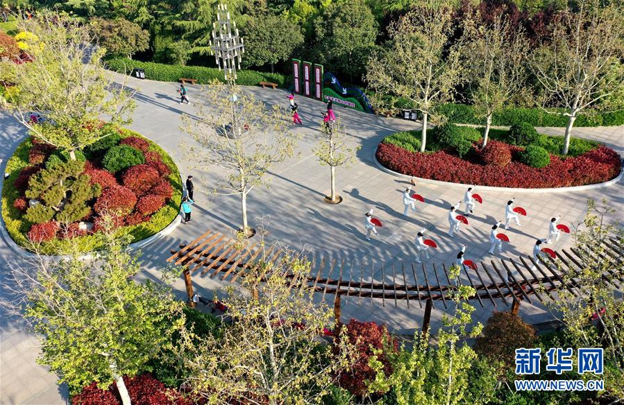 山东即墨:"口袋公园" 乐享生活