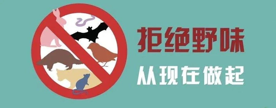京版禁野令来了禁止食用陆生野生动物违者最高20倍罚款