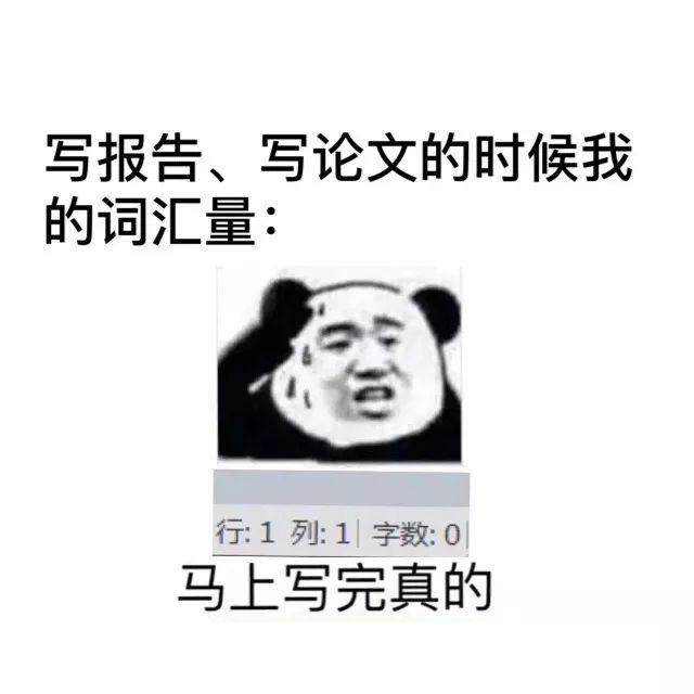 端妞唠嗑实录丨写论文也太难了!