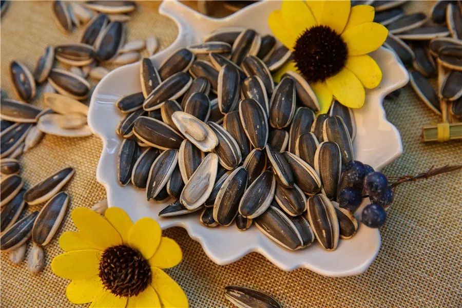 葵庄|来自新疆阿勒泰的原味葵瓜子