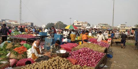 印度最大果蔬批发市场出现死亡病例 300家商铺关闭