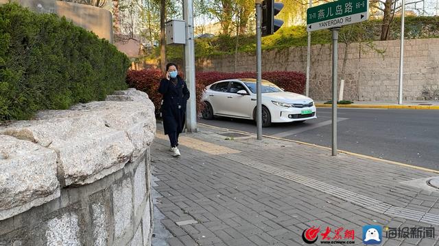 青岛园林那些事儿:让人又爱又恨的杨树、柳树