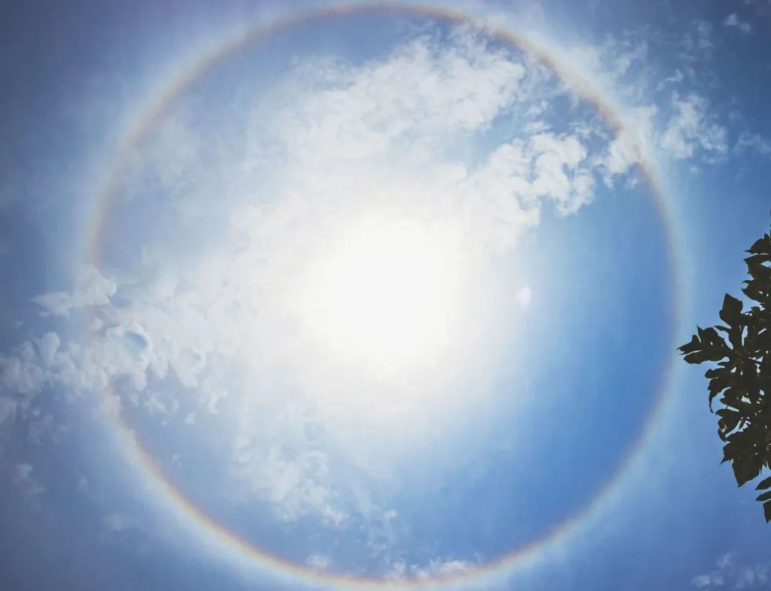 美呆太阳被彩虹包围了今天日晕奇观刷屏澄海人朋友圈