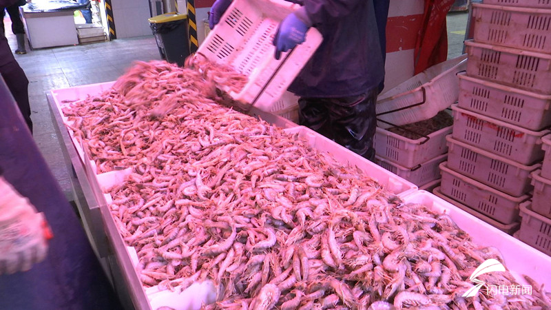 87秒丨忍住口水!快封海了,记者带您去青岛海鲜市场逛一逛