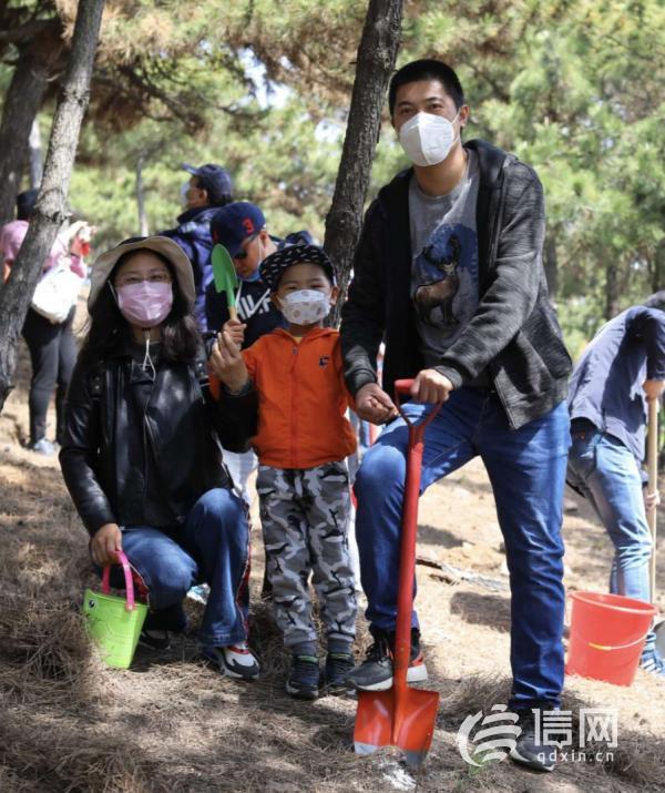 家庭亲情林载下麻栎苗 让种树成为青岛新时尚