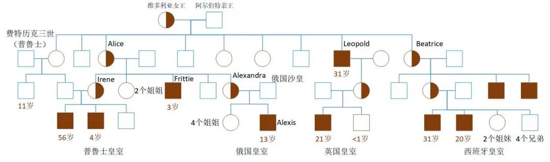 血友病基因的携带者,这一基因又通过她的儿女传播到了欧洲其他几个