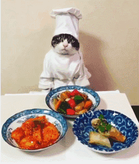 这只猫吃过的西餐,比我还多,气人