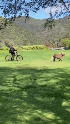 在别墅院子里开卡车,在导弹发射井里躲疫情|疫情|新冠肺炎_新浪新闻