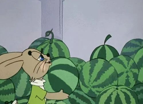 真的是一瓜未平一瓜又起,最近的我仿佛在瓜田里迷茫的猹,进了瓜田途 