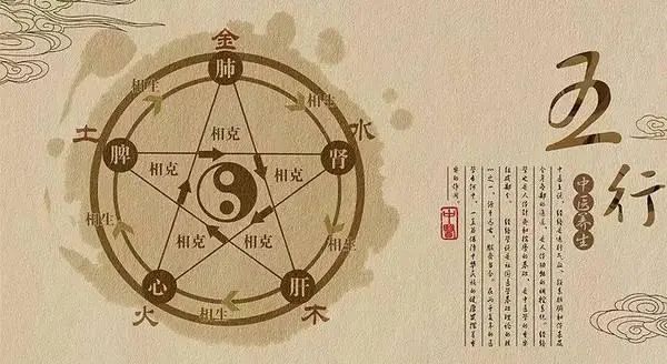 中医入门必须理解的五脏六腑功能特点