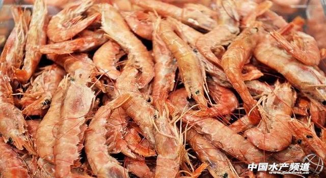 阿根廷船冻红虾产季在即,市场价格或进一步下跌