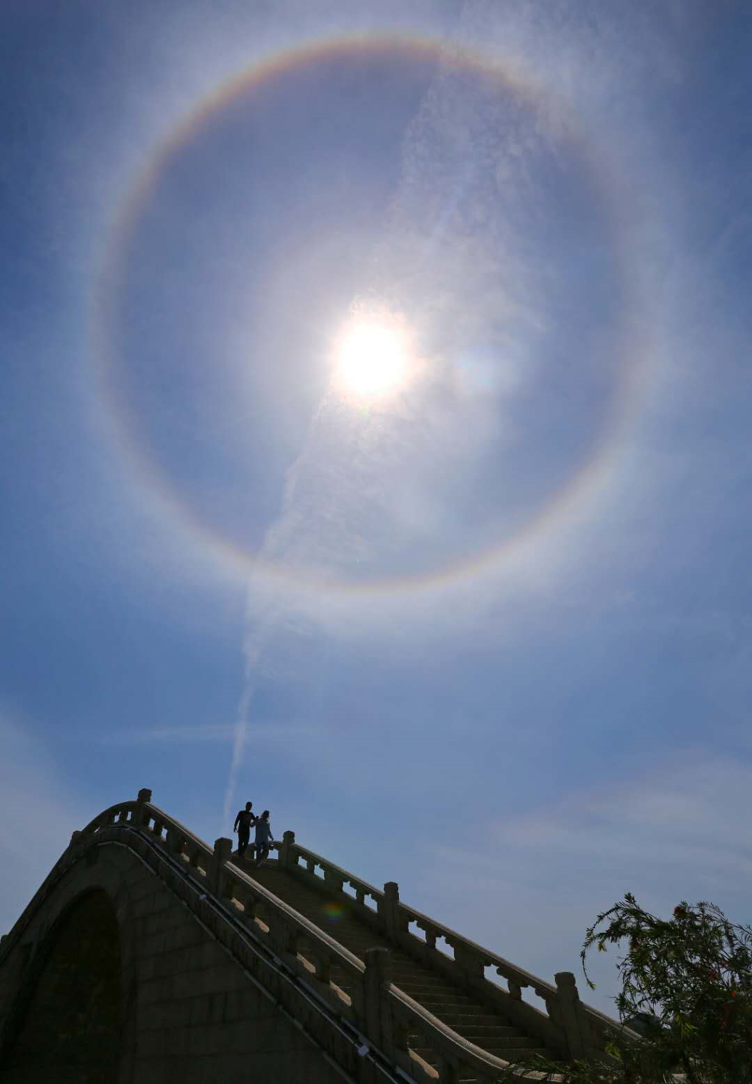 日晕|泉州|卷层云_新浪新闻