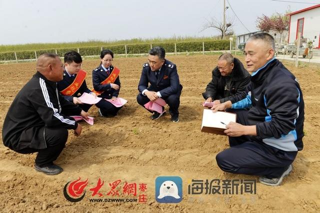 枣庄峄城:便民春风满榴乡 税企同心共前行