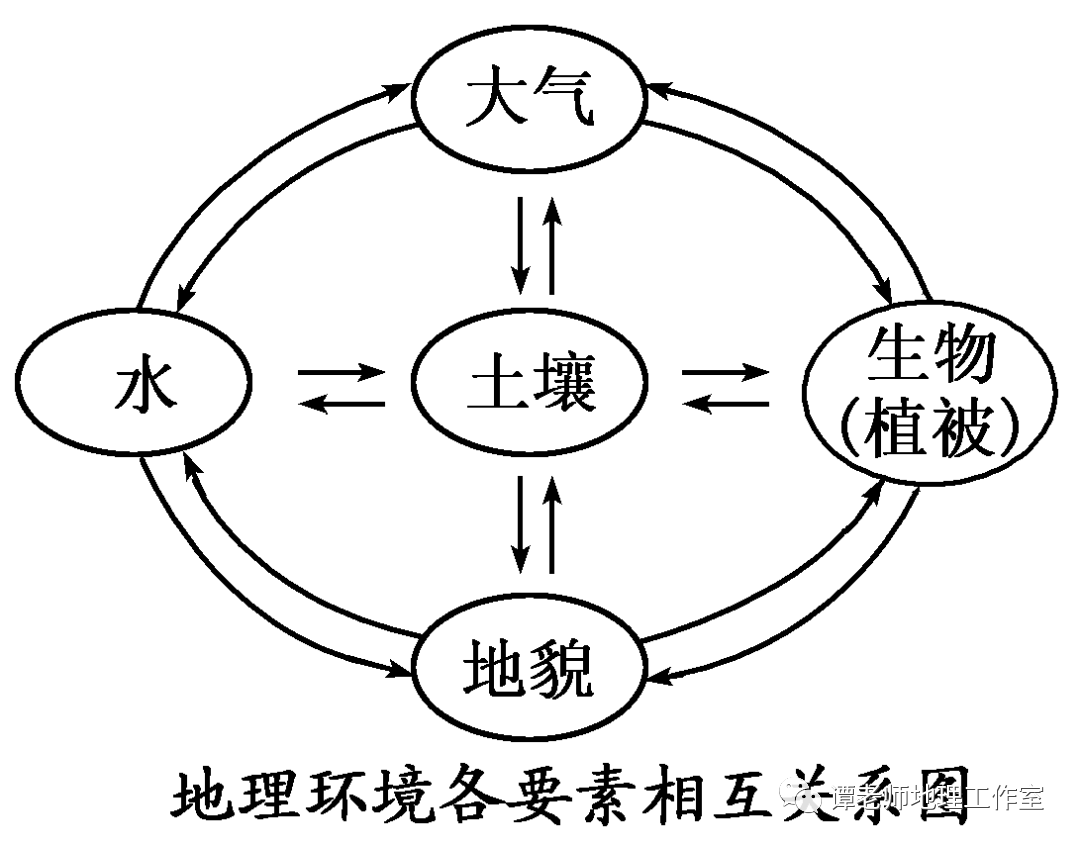 地理位置入手,抓住区域内的地貌,气候,水文,植被,土壤等环境要素进行