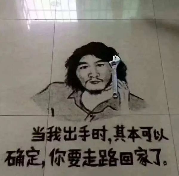 窃·格瓦拉:我只想回去种地