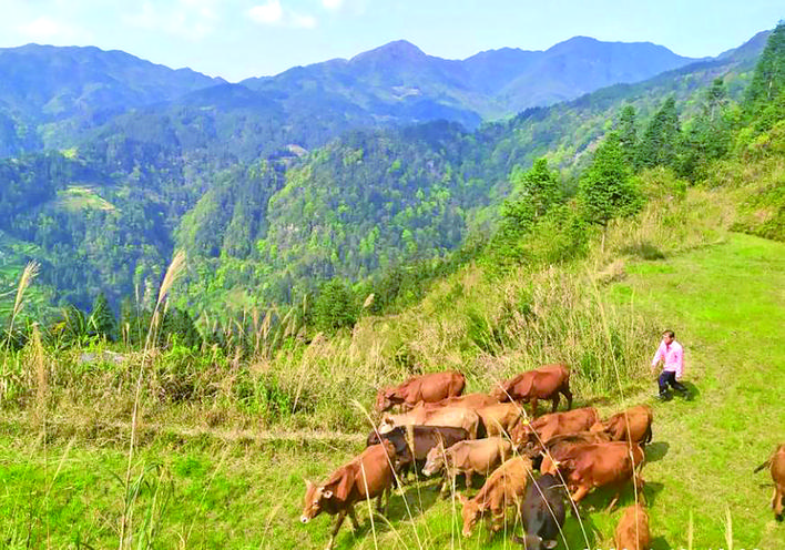 新闻搜索_新浪搜索_新浪网