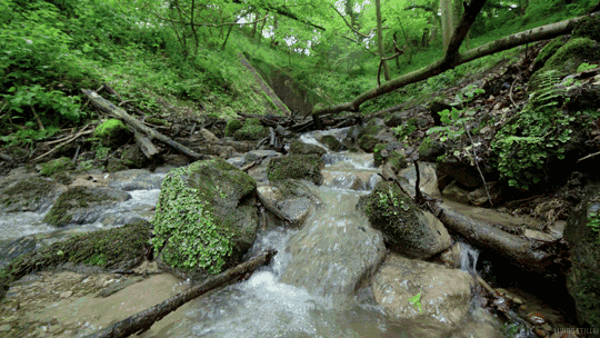 正是景色烂漫的时候绿水青山,蓝天白云5月初的时节蓟县是我心中no.
