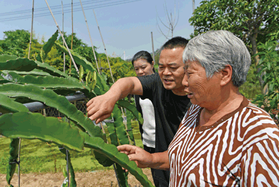 村民“共同缔造”，古村复兴“留住乡愁”