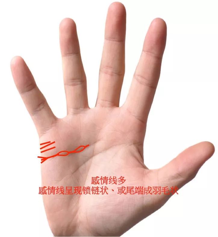 二丶感情线呈现锁链状,或尾端成羽毛状带着此手纹的人,对人事物的观察