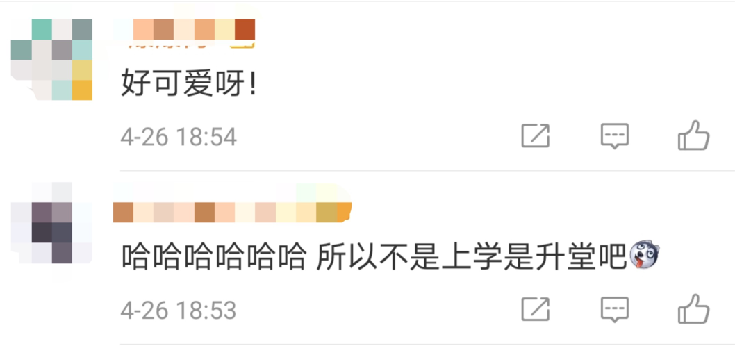 小学生为防疫戴“一米帽”上课 网友:清平乐少
