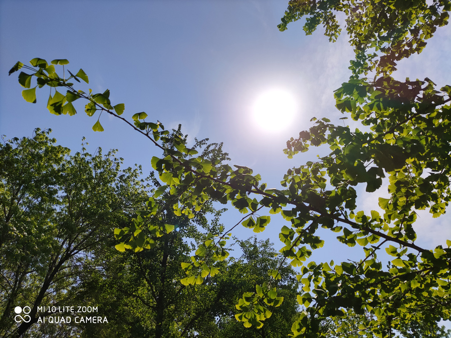 小米10青春版评测好手感的拍照小钢炮