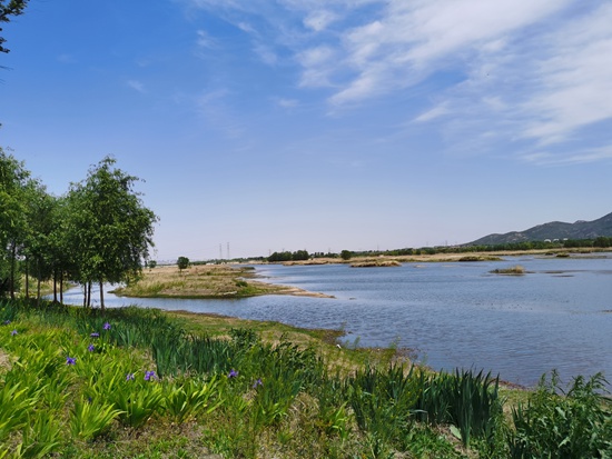 泰安市组织行走大汶河"大家拍"摄影采风与文旅图片征集系列活动