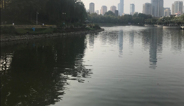 大连一公园湖面上，一人后背朝上四肢平铺，浮在水面……