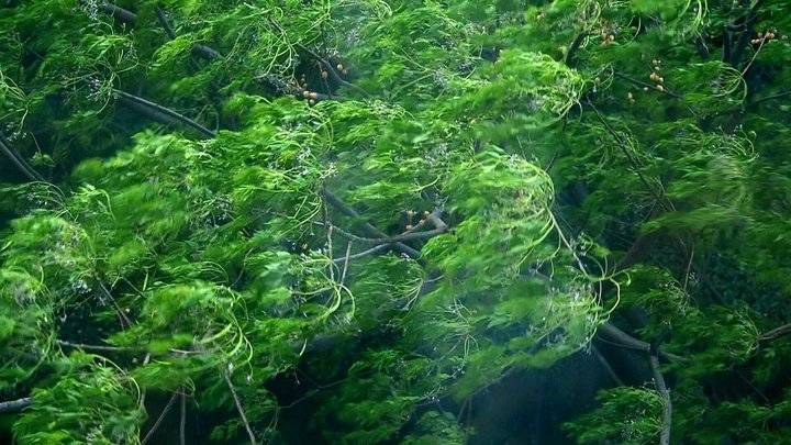 热闻区|宅在家里长的肉要派上用场了,山东强风天又来了!|森林火险|气