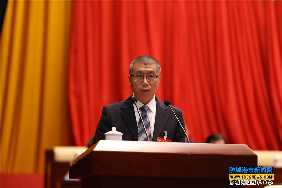 加快推进西部陆海新通道建设——王洪波委员代表民进防城港市委会发言