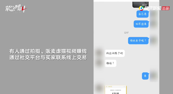 ▲资料视频。对话卖视频赚钱的虐猫者:我喜欢猫,但流浪猫活着就是罪。新京报我们视频截图