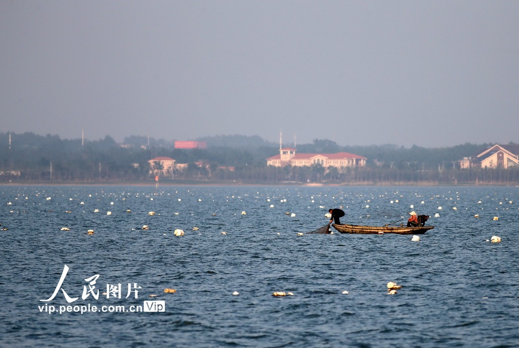 江蘇宿遷:漂浮在駱馬湖上的