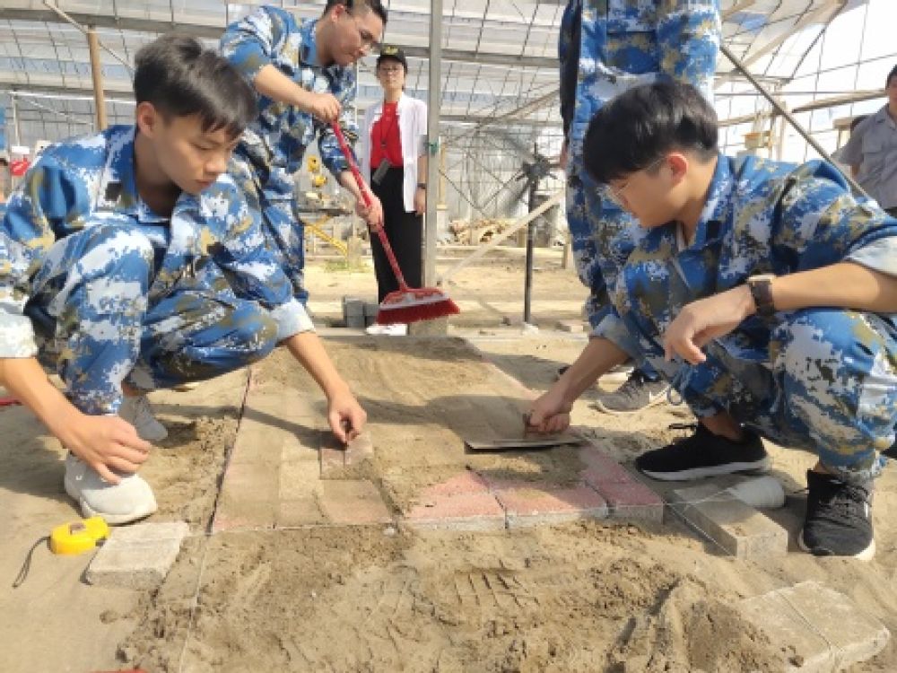 农林职业技术学院组织学生在田间地头体验植物组合盆栽、园林道路铺装