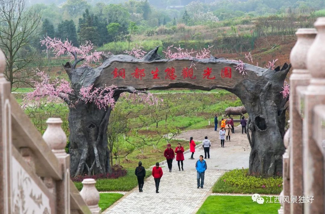 【特色旅游厕所】南昌安义古村群,九江瑞昌剪纸小镇的旅游厕所原来是