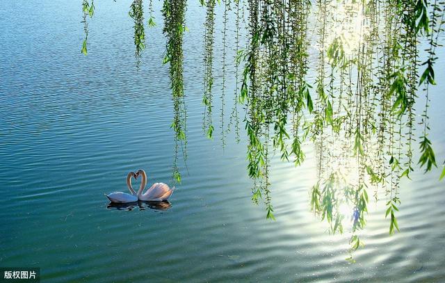 60年大数据起底双面春风,哪里最温柔,哪里最疯狂?|大数据_新浪新闻