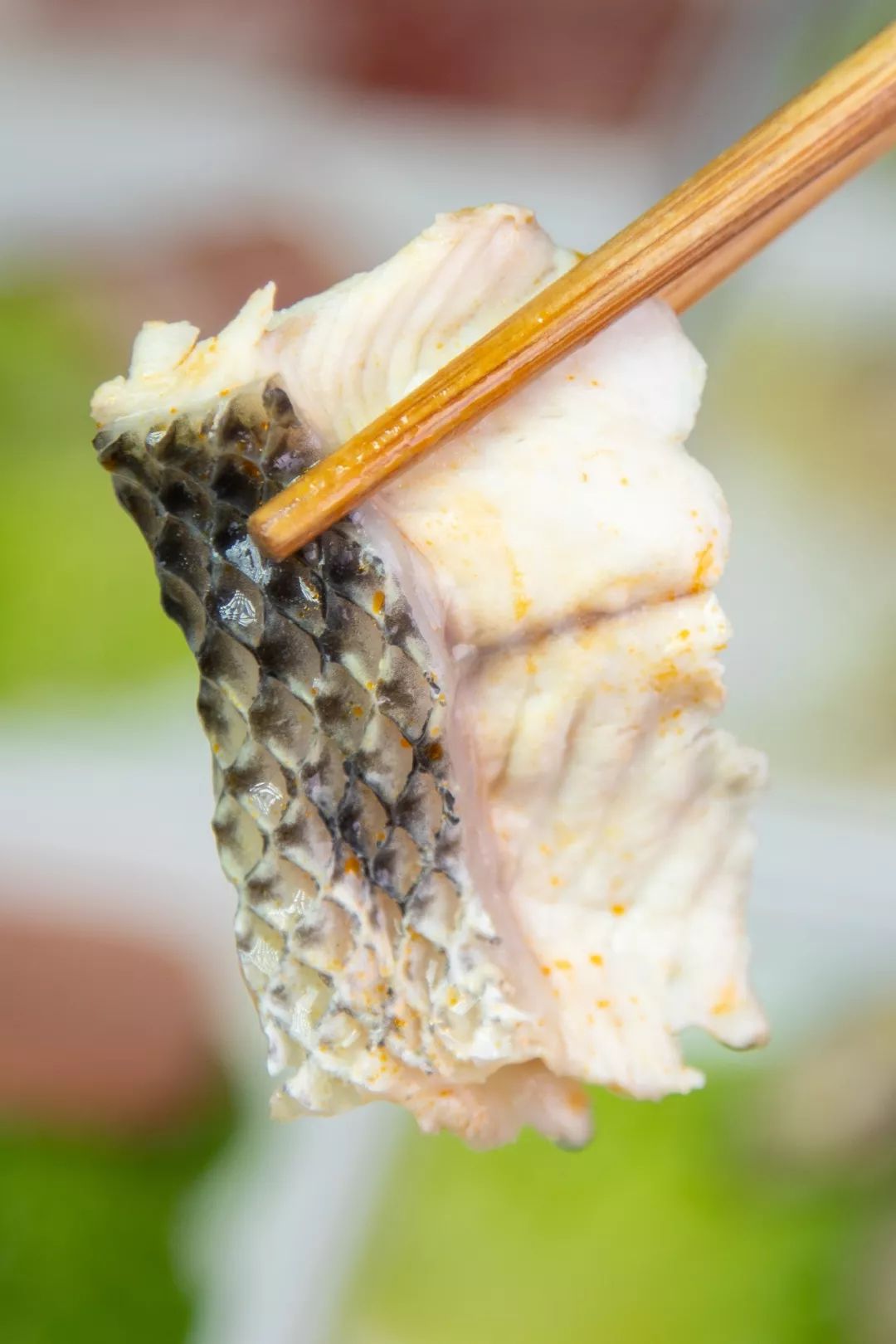 鱼片|鲜美_新浪新闻