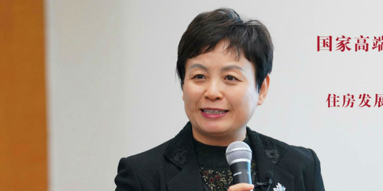 【2020蓝筹年会】秦虹:疫情下房企的三大风险和三重考验