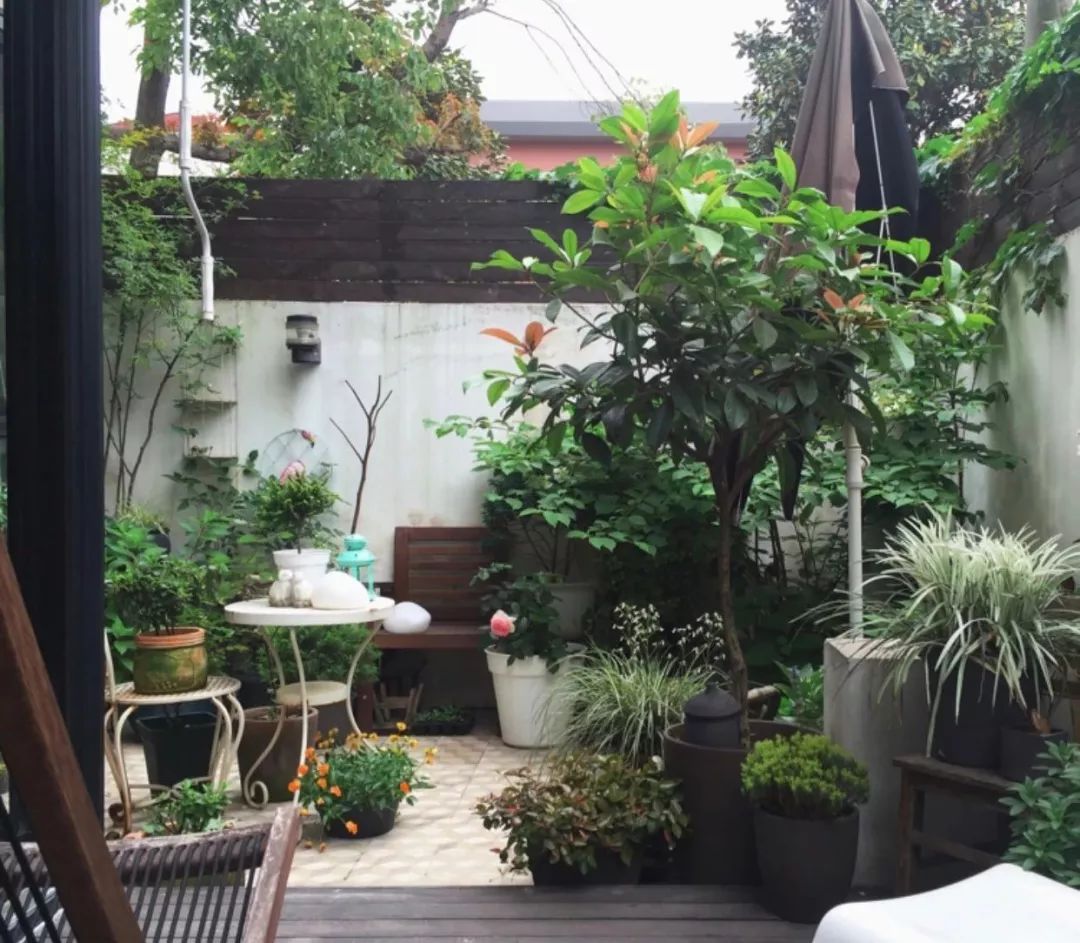 室内陈设也都会有改变▲ 设计师的理念是不希望装修好是超好的状态