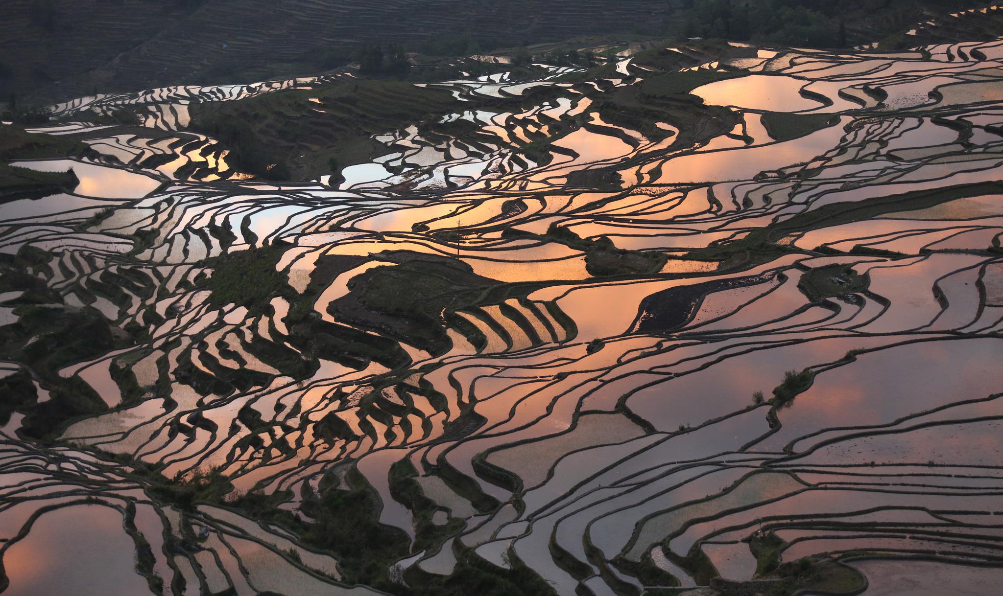云南元阳:梯田中的光影流转